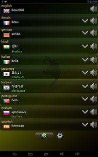 Q Multi Переводчик 1.66. Скриншот 8