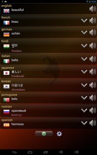 Q Multi Переводчик 1.66. Скриншот 9