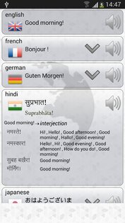 Q Multi Переводчик 1.66. Скриншот 10