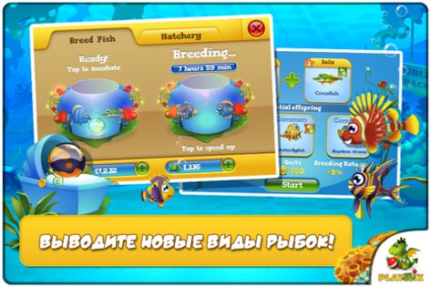 Pocket Fishdom 1.0.8. Скриншот 6