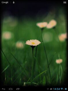 Old TV Live Wallpaper 1.2. Скриншот 4