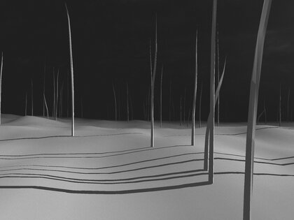 PolyFauna 2.0.3. Скриншот 14