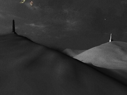 PolyFauna 2.0.3. Скриншот 15