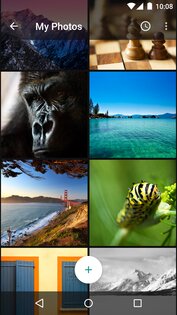 Muzei Live Wallpaper 3.6.2. Скриншот 5