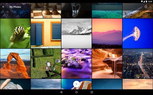 Muzei Live Wallpaper 3.6.2. Скриншот 12