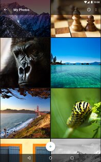 Muzei Live Wallpaper 3.6.2. Скриншот 18