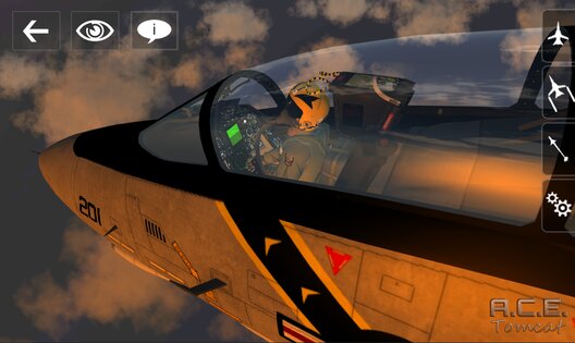 A.C.E Tomcat 1.0. Скриншот 2