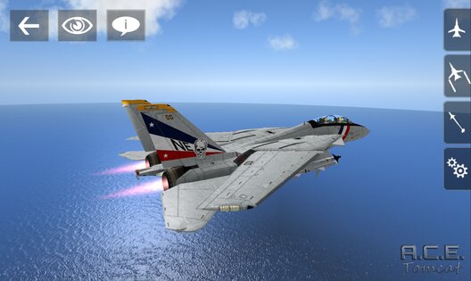 A.C.E Tomcat 1.0. Скриншот 11