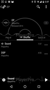 PlayerPro KK skin 1.2.3. Скриншот 7