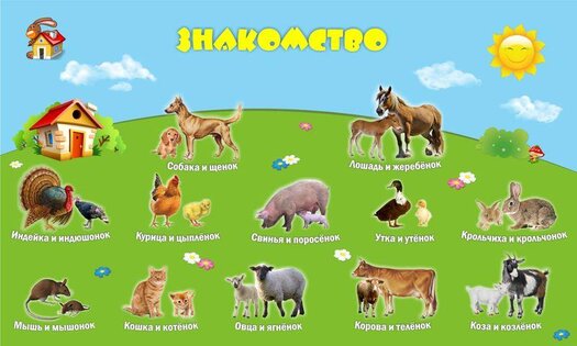 1А: Животные (для детей) 1.0.8. Скриншот 2