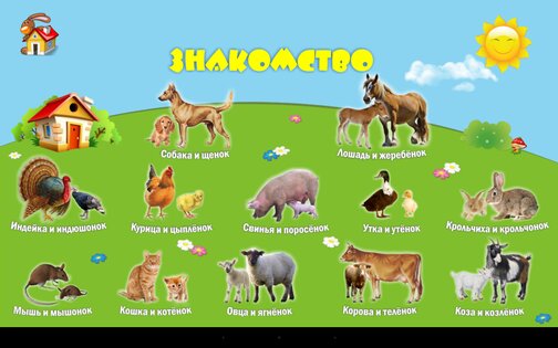 1А: Животные (для детей) 1.0.8. Скриншот 8