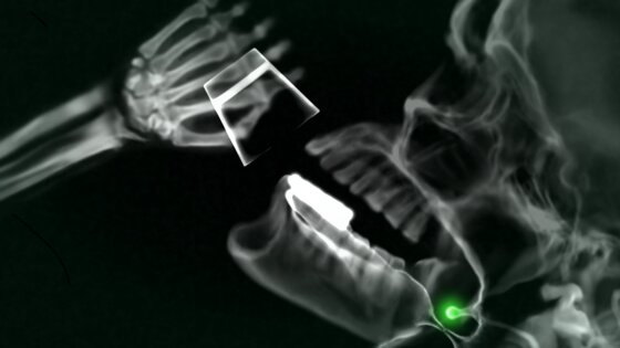 Puddle 1.5. Скриншот 12