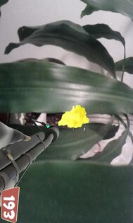 Cam Fortress 1.0. Скриншот 4