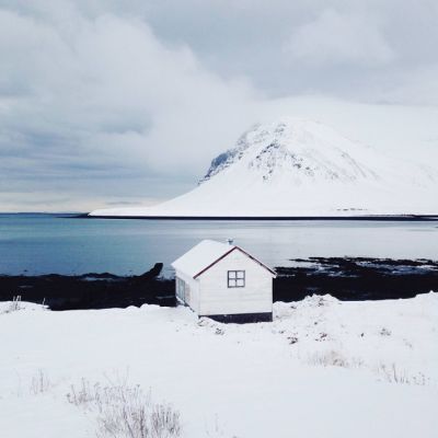 Определены лучшие фотографии, сделанные на iPhone в 2014 году