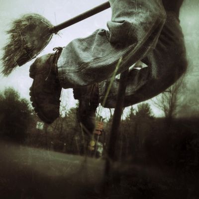 Определены лучшие фотографии, сделанные на iPhone в 2014 году