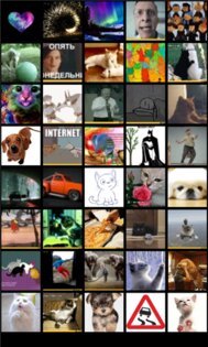 Гифки. Скриншот 4