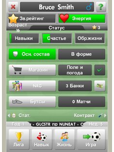 New Star Soccer 4.32. Скриншот 10
