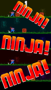 Ninja Ninja Ninja. Скриншот 3