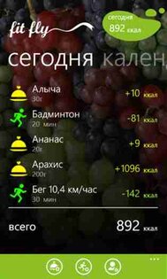 FitFly. Скриншот 2