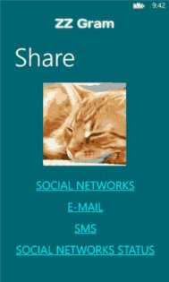 ZZ Gram. Скриншот 4