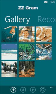 ZZ Gram. Скриншот 2