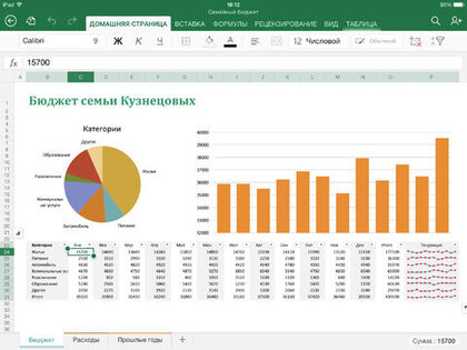 Microsoft Excel. Скриншот 1