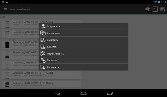 CyberSafe Mobile Lite 2.0.45. Скриншот 10