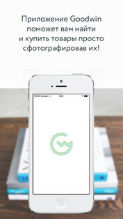 Goodwin. Скриншот 1