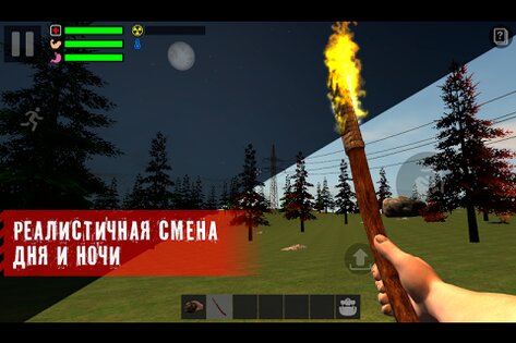 The Survivor: Rusty Forest. Скриншот 1