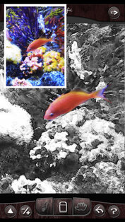 Colorful. Скриншот 3