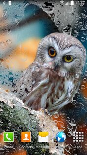 Дождь Живые Обои 1.1.18. Скриншот 5