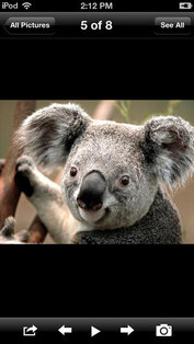 AirPlayer. Скриншот 3