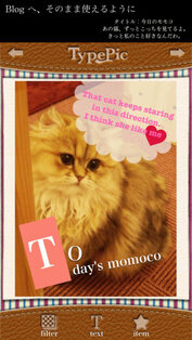 TypePic. Скриншот 2