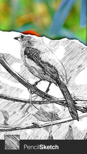 Sketch Guru. Скриншот 1