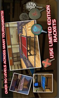 Ping Pong Master. Скриншот 2