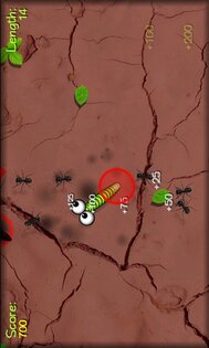 Skwirmy. Скриншот 1