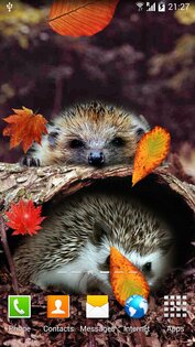 Осень Живые Обои 1.0.10. Скриншот 1