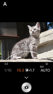 PlayMemories Mobile. Скриншот 1