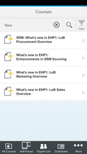 Enterprise Support Academy. Скриншот 2