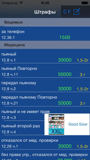 Дорожные Штрафы 2012. Скриншот 1