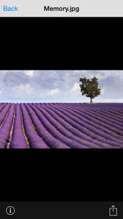 Wi-Fi SD. Скриншот 3