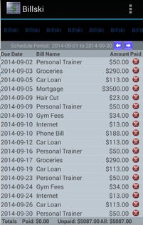 Billski 4.3.0. Скриншот 1