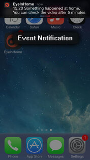 EyeInHome. Скриншот 3