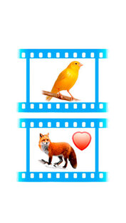 Звуки Фауны. Скриншот 1