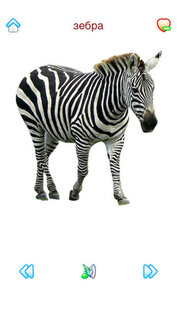 Звуки Фауны. Скриншот 3