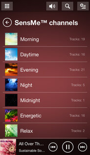 HDD Audio Remote. Скриншот 2