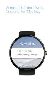Webex Meetings 44.9.0. Скриншот 13