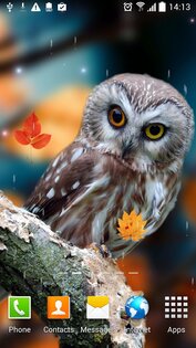 Осень Живые Обои 1.0.10. Скриншот 1