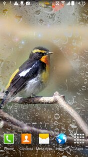 Осень Живые Обои 1.0.10. Скриншот 3