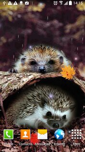 Осень Живые Обои 1.0.10. Скриншот 5